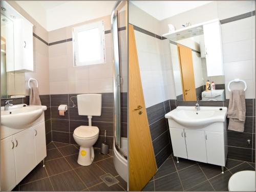 uma casa de banho com um WC, um lavatório e um espelho. em Apartments Anita em Bibinje