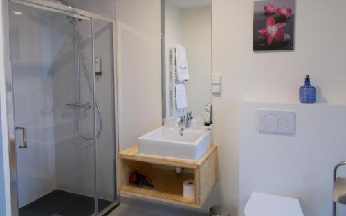 La salle de bains est pourvue d'un lavabo et d'une douche. dans l'établissement Logis Hotel De La Poste, à Saint-Sauves- dʼAuvergne