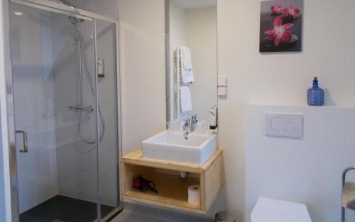 y baño con lavabo y ducha. en Logis Hotel De La Poste, en Saint-Sauves- dʼAuvergne