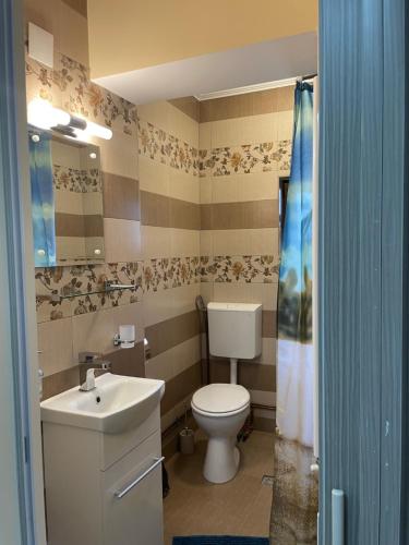 un baño con inodoro y lavabo en Green House Inn, en Călimăneşti
