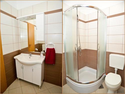 a bathroom with a shower and a toilet and a sink at Apartments Anita in Bibinje