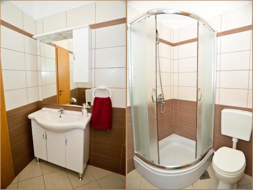 uma casa de banho com um chuveiro, um WC e um lavatório. em Apartments Anita em Bibinje