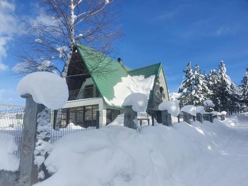 ein Haus mit einem grünen schneebedeckten Dach in der Unterkunft Vikendica Blidinje Čarobna kuća in Tomislavgrad