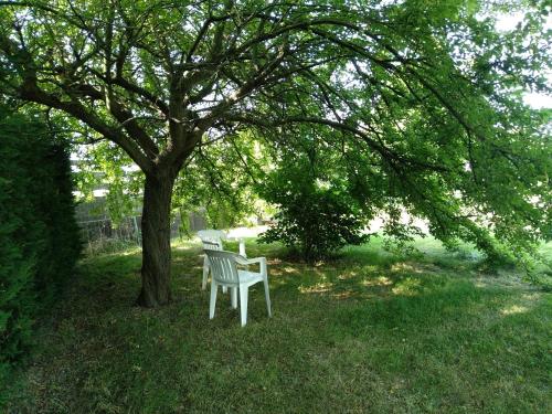 a white chair sitting under a tree in the grass at VILLABRUNA in Correzzola