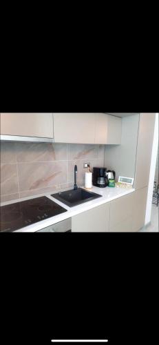 a kitchen with a sink and a counter top at BEA APARTAMENT ON THE BEACH -Mamaia Nord in Năvodari