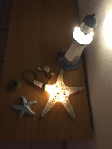 two starfish on the floor in a room with a light at Apartments MAMPAS in Neum