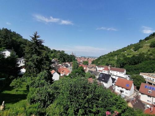 a town on a hill with houses and trees at Ferienwohnung Schaefer in Heppenheim an der Bergstrasse