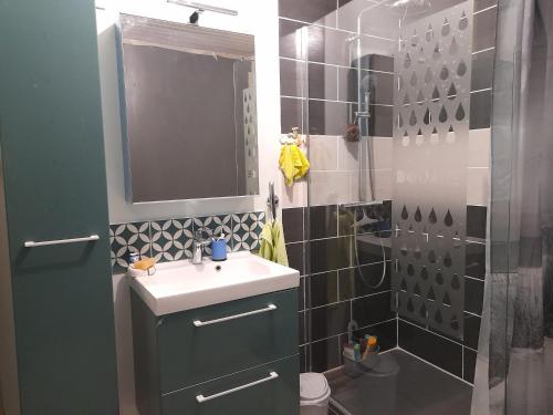 une salle de bain avec un lavabo et une douche dans l'établissement la petite maison bleue, à Jugon Les Lacs