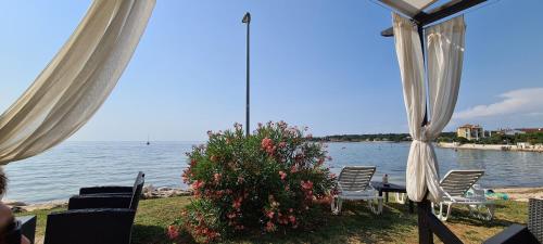 a view of the water from a house with chairs and a plant at Villa Ružica in Dajla