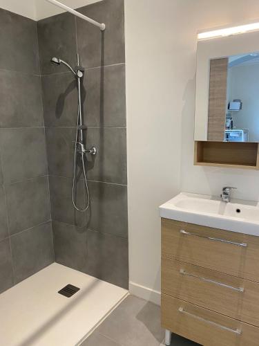 une salle de bain avec douche et lavabo dans l'établissement LA MAISON D'ANTONIN 2, à Nîmes