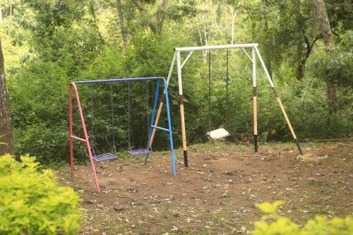 two swings in a park with trees in the background at LUSHOTO EXECUTIVE LODGE in Lushoto