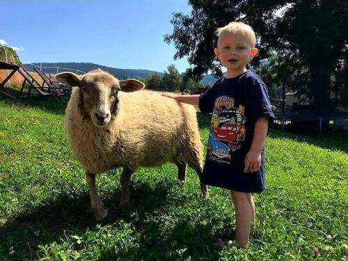 a young boy standing next to a sheep at Chata u Kostela in Dolni Misecky