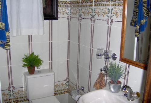 ein Bad mit einem WC und einem Waschbecken mit Pflanzen in der Unterkunft Aptos Monasterio de San Antonio 1 in Icod de los Vinos