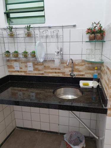 a kitchen counter with a sink and potted plants at Suite 03 - Independente, privativa e aconchegante in Cuiabá