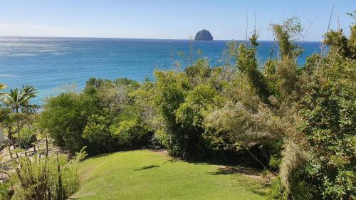 a field of grass with the ocean in the background at LE BLUE GROUND in Le Diamant