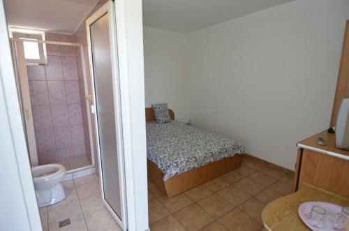 コスティネシュティにあるVila G&Sの小さなバスルーム(ベッド1台、シャワー付)
