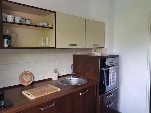 cocina con fregadero y encimera en Apartament Mandree, en Costinesti