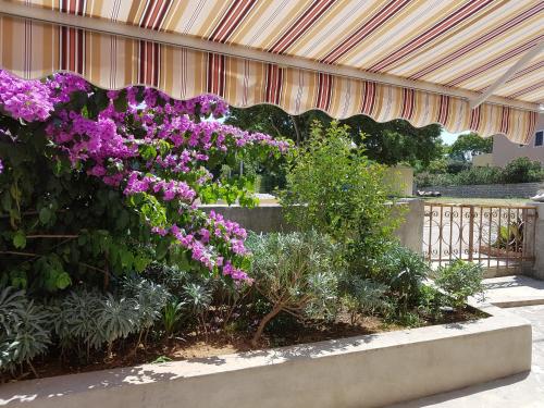 a garden with purple flowers and plants under a canopy at Apartman Mi in Nerezine