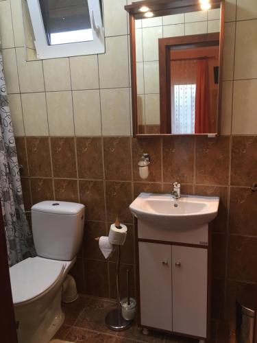 a bathroom with a toilet and a sink and a mirror at Casa Bambi in Sovata