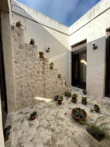 Los Patios- Haras el Malacate – Photos 5