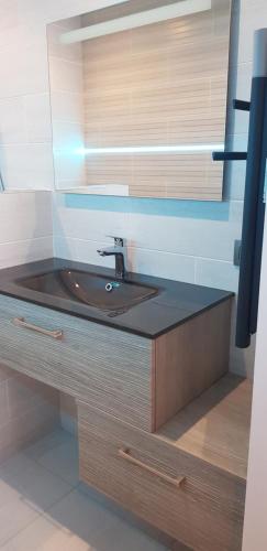 un comptoir de salle de bain avec un lavabo et un miroir dans l'établissement Studio Naturiste 