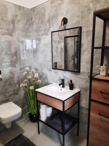 a bathroom with a sink and a mirror and a toilet at Hostel Grębocin in Grębocin