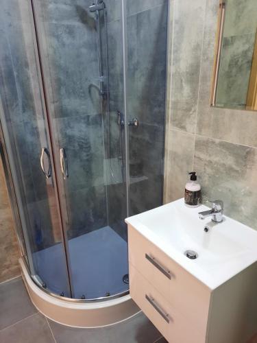 a bathroom with a shower with a sink and a toilet at Hostel Grębocin in Grębocin