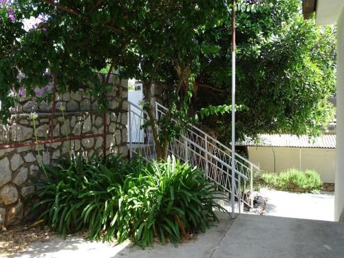 木洛希尼的住宿－Apartments Losinj，树旁的白色围栏和石墙