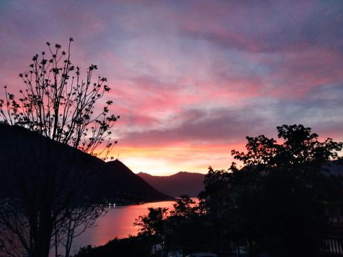 Kép Apartments Dakovic M szállásáról Kotorban a galériában