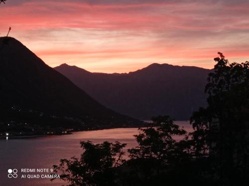 Kép Apartments Dakovic M szállásáról Kotorban a galériában