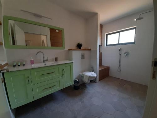 een badkamer met een groene wastafel en een toilet bij במשק ליד הנחל in Bet Hillel
