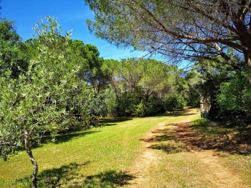 Gallery image of Hotel Cala Mirto in Budoni