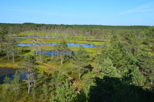 an aerial view of two lakes in a forest at Kakupesa Puhkemaja in Hara