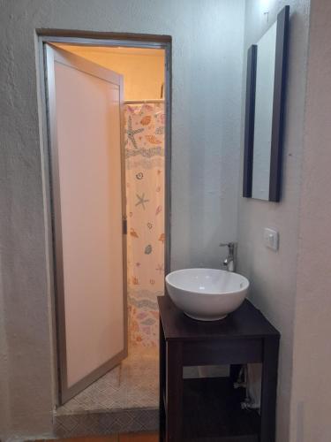 een badkamer met een witte wastafel en een spiegel bij Suite amplia privada a 8 min del centro in Aguascalientes