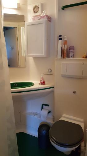 a small bathroom with a toilet and a sink at COTTAGE - Lac du Causse in Chasteaux