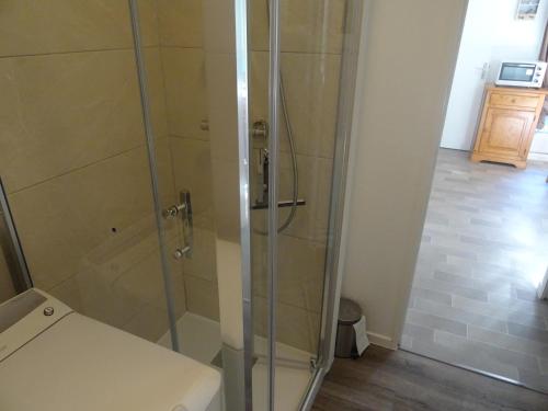 une douche avec une porte vitrée dans une salle de bain dans l'établissement Le cocon de Garrigou, à Luchon