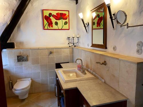 a bathroom with a sink and a toilet at Fewo WAFFENKAMMER im Rittergut Leppersdorf bei Dresden für 7 Personen in Leppersdorf