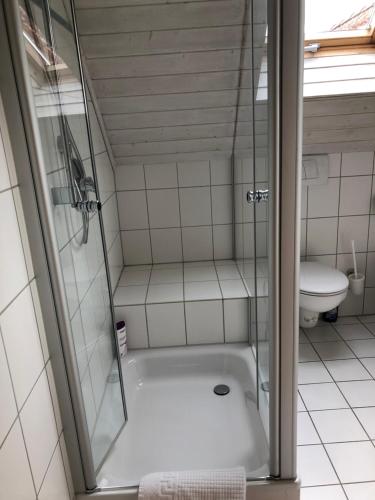 
a bathroom with a shower, toilet and sink at Ferienwohnung im Donautal in Altheim
