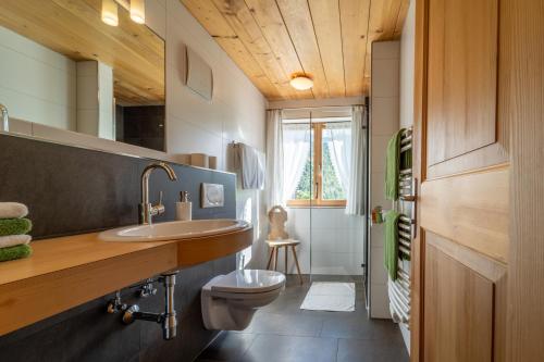 ein Bad mit einem Waschbecken und einem WC in der Unterkunft Ferienbauernhof Berlinger in Au im Bregenzerwald