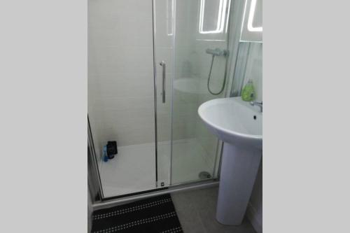 een badkamer met een douche en een wastafel bij Mews Apartment, Bushmills in Bushmills