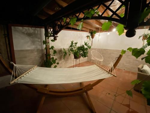 a hammock in the middle of a room at Alma Migrante bed&wine in Telese