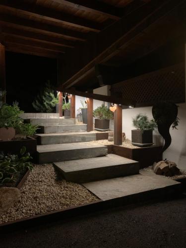 a set of concrete stairs with potted plants at Ferienwohnungen Monika Winter in Kleinarl