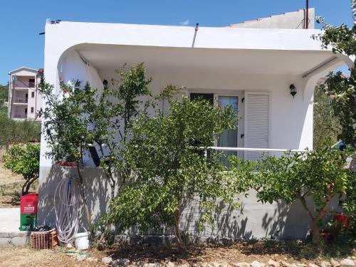 Fotografie z fotogalerie ubytování Apartman Dragica v destinaci Seget Vranjica