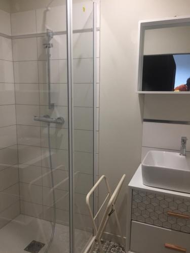 a shower with a glass door next to a sink at Maison DELMAS, l'Oustal du Recantu in Sainte-Eulalie
