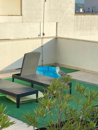 a bird sitting on a patio with two chairs at Sunset House / Casa Por do Sol in Nazaré