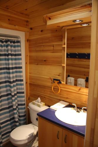 a bathroom with a toilet and a sink at Chalets et Spa Lac Saint-Jean in Chambord