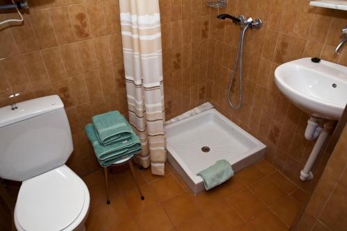 a bathroom with a shower and a toilet and a sink at Apartamentos Llevant in Cala Figuera
