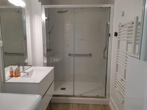 La salle de bains est pourvue d'une douche et d'un lavabo blanc. dans l'établissement La Blanche La Rochelle Vue sur les Tours, à La Rochelle