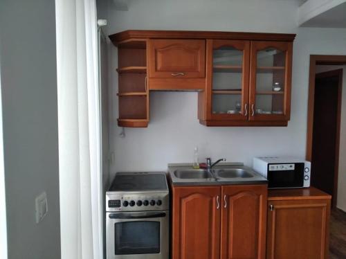 a kitchen with a sink and a stove and cabinets at Vila Liliacul in Stana de Vale