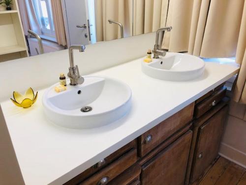 two sinks on a counter in a bathroom at Logies Lapin in Antwerp